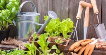 5 Gardening Tools for Beginners: Essential Guide to Growing with Confidence