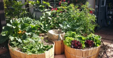 Grow 10 Small Vegetable Garden Ideas for Big Harvests in Tiny Spaces