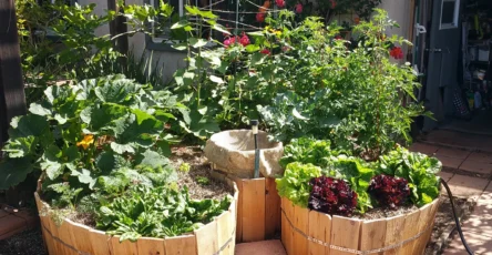 Grow 10 Small Vegetable Garden Ideas for Big Harvests in Tiny Spaces