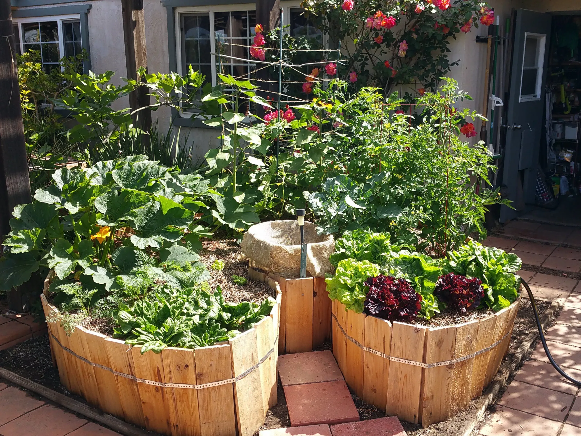 Grow 10 Small Vegetable Garden Ideas for Big Harvests in Tiny Spaces