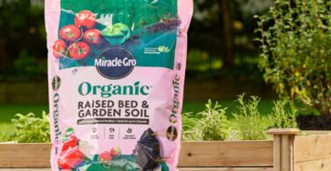 Home Depot Soils for Raised Beds