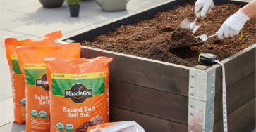 How Much Home Depot Soil Fits Your Raised Bed