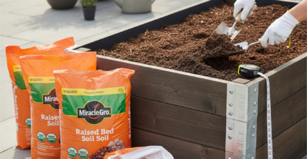 How Much Home Depot Soil Fits Your Raised Bed