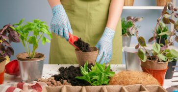 Gardening Hacks to Boost Yields
