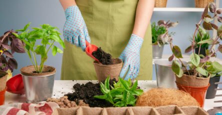 Gardening Hacks to Boost Yields