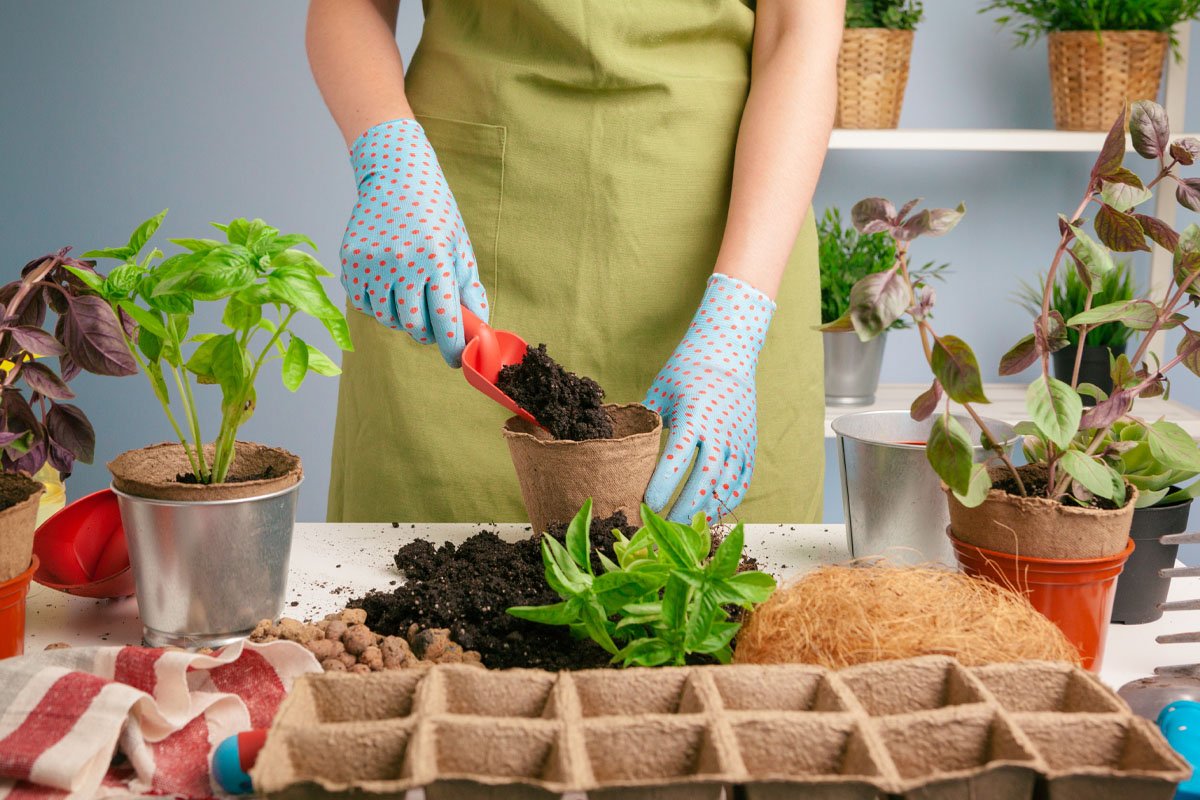 Gardening Hacks to Boost Yields