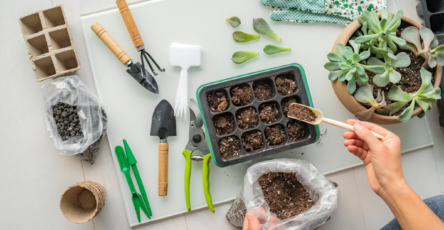Genius Gardening Hacks