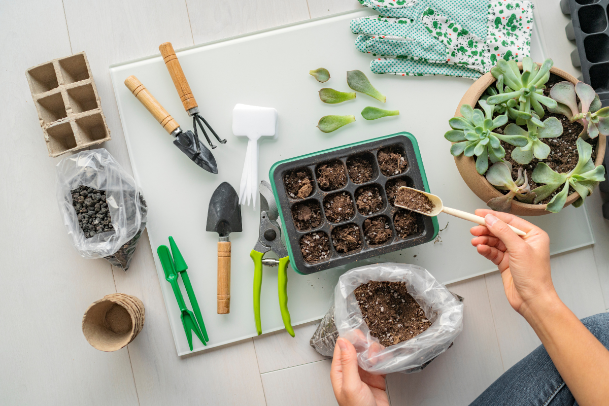 Genius Gardening Hacks