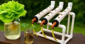 Easy Hydroponics at Home: How to Prepare Your Nutrient Solution