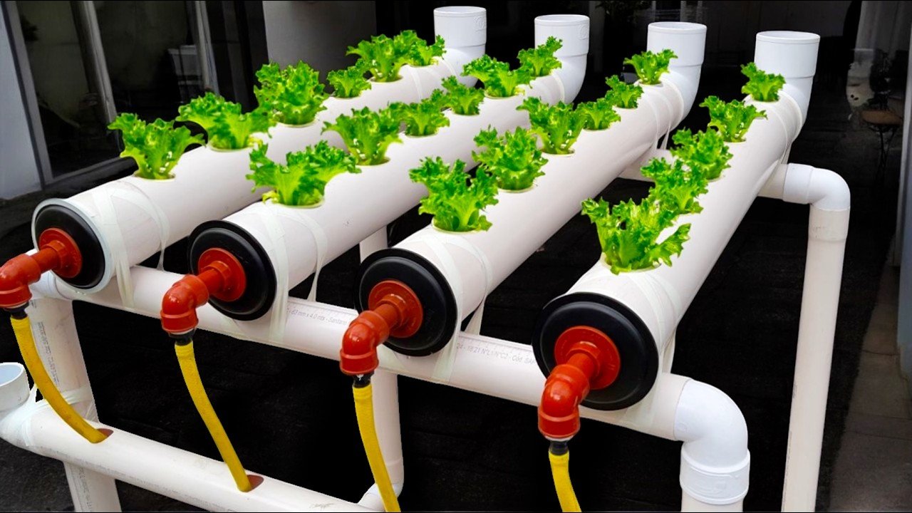 Easy hydroponics at home